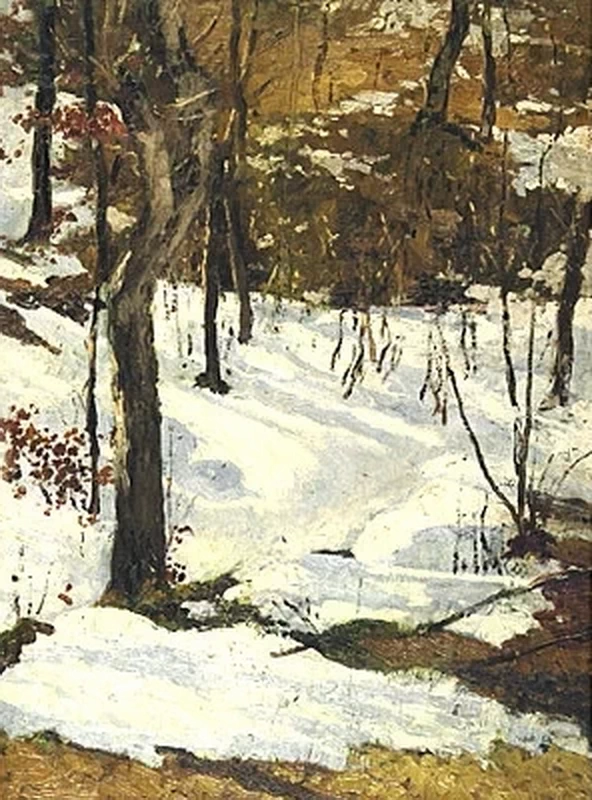 Paesaggio innevato
